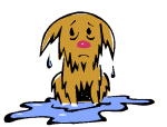 Sad Dog
